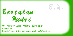 bertalan mudri business card